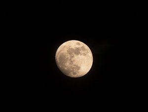 Déménageur Tassin-la-Demi-Lune
